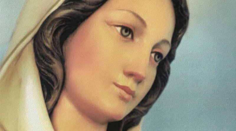 roza mistyczna 800x445