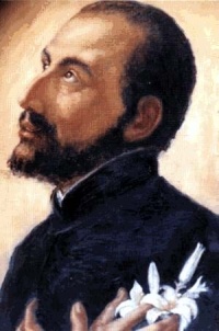 antoni maria z1