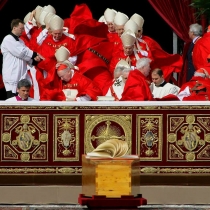 10007389 560380660726944 932591012 n