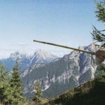 10351378 644958828935793 5068414446571880465 n