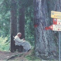 10423268 764259057005769 8018950090805891061 n