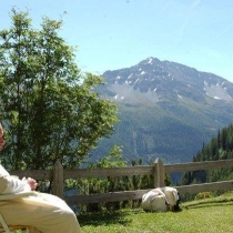 10620714 644959145602428 3946913965903534603 n