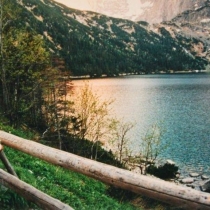 10650043 644958622269147 234401120958553254 n