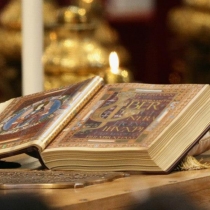 168831 409157189182626 1878769092 n