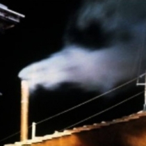 1901577 541547915943552 945633660 n