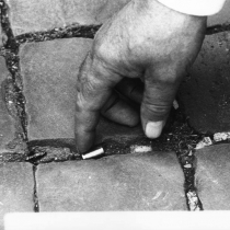 1958131 546482162116794 593101032 n