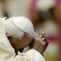 1975036 543834892381521 473620248 n