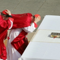 216c5968c5dff75056cde5dd06e87100,21,1