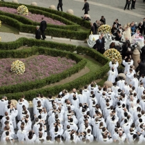 428406 409148505850161 1038843986 n